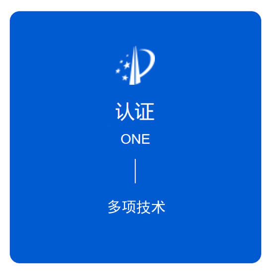 榮獲國(guó)家大型專利技術(shù)
